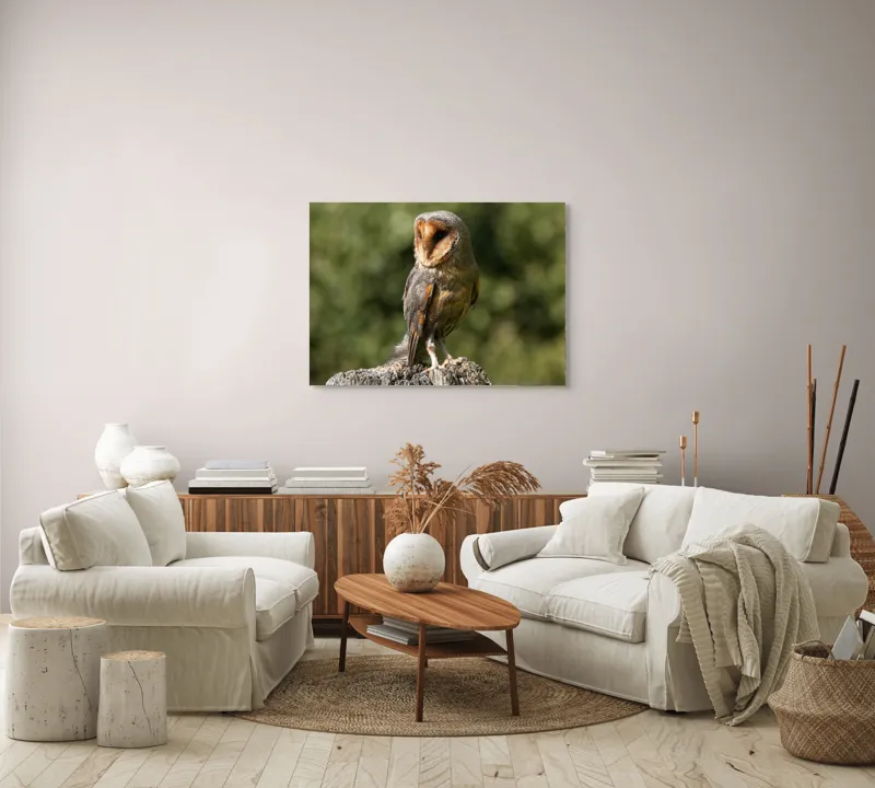 Tablou Canvas, "Bufniță pe trunchi de copac uscat", Bufniță, Trunchi, Pene, Noapte, Natură, Ochi, Urechiușe, Silueta, Observare, Calmă, 100 x 70 cm – poza 3
