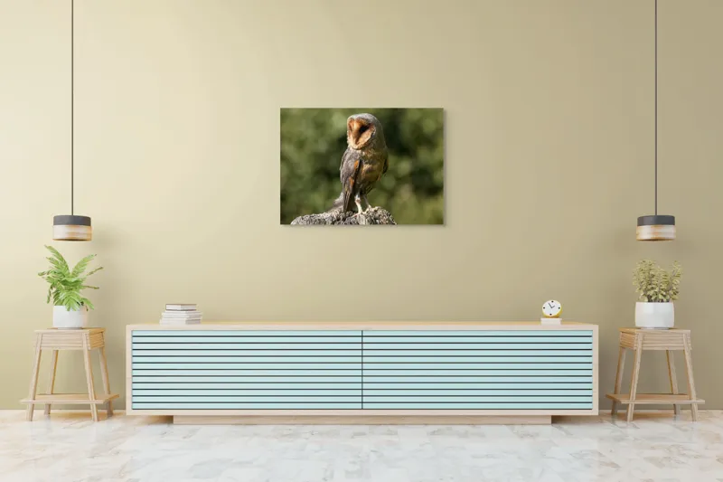 Tablou Canvas, "Bufniță pe trunchi de copac uscat", Bufniță, Trunchi, Pene, Noapte, Natură, Ochi, Urechiușe, Silueta, Observare, Calmă, 100 x 70 cm – poza 4
