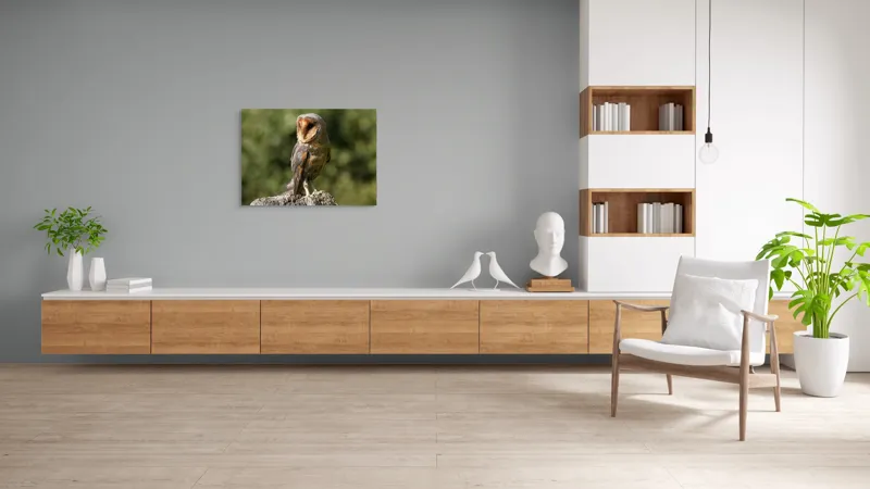 Tablou Canvas, "Bufniță pe trunchi de copac uscat", Bufniță, Trunchi, Pene, Noapte, Natură, Ochi, Urechiușe, Silueta, Observare, Calmă, 100 x 70 cm – poza 6