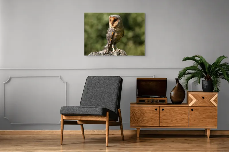 Tablou Canvas, "Bufniță pe trunchi de copac uscat", Bufniță, Trunchi, Pene, Noapte, Natură, Ochi, Urechiușe, Silueta, Observare, Calmă, 100 x 70 cm – poza 8