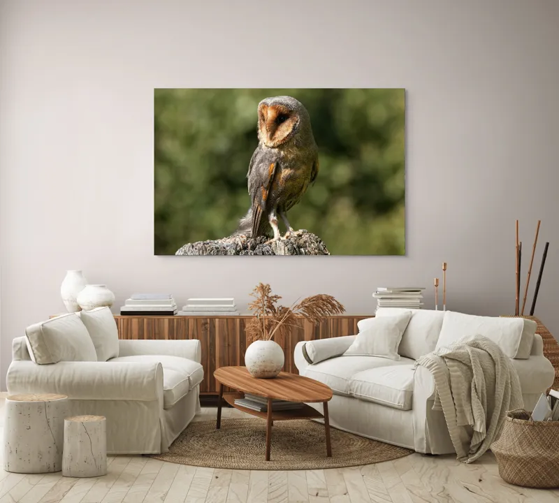 Tablou Canvas, "Bufniță pe trunchi de copac uscat", Bufniță, Trunchi, Pene, Noapte, Natură, Ochi, Urechiușe, Silueta, Observare, Calmă, 150 x 100 cm – poza 3