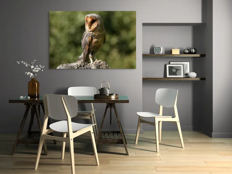 Tablou Canvas, "Bufniță pe trunchi de copac uscat", Bufniță, Trunchi, Pene, Noapte, Natură, Ochi, Urechiușe, Silueta, Observare, Calmă, 150 x 100 cm – poza 5