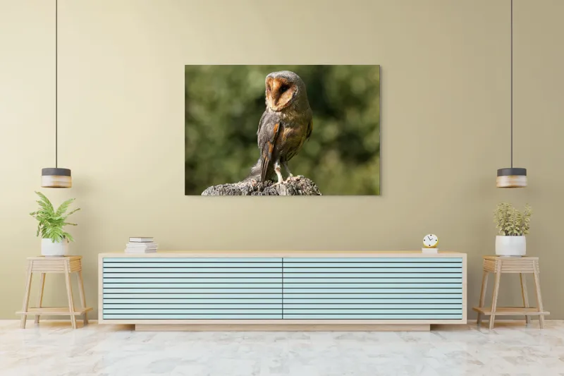 Tablou Canvas, "Bufniță pe trunchi de copac uscat", Bufniță, Trunchi, Pene, Noapte, Natură, Ochi, Urechiușe, Silueta, Observare, Calmă, 150 x 100 cm – poza 6