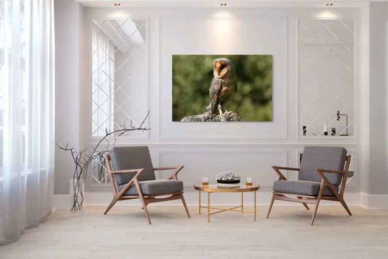 Tablou Canvas, "Bufniță pe trunchi de copac uscat", Bufniță, Trunchi, Pene, Noapte, Natură, Ochi, Urechiușe, Silueta, Observare, Calmă, 150 x 100 cm – poza 7