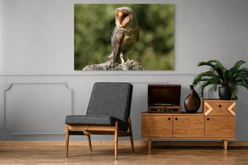Tablou Canvas, "Bufniță pe trunchi de copac uscat", Bufniță, Trunchi, Pene, Noapte, Natură, Ochi, Urechiușe, Silueta, Observare, Calmă, 150 x 100 cm – poza 8