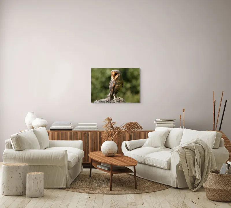 Tablou Canvas, "Bufniță pe trunchi de copac uscat", Bufniță, Trunchi, Pene, Noapte, Natură, Ochi, Urechiușe, Silueta, Observare, Calmă, 70 x 50 cm – poza 6