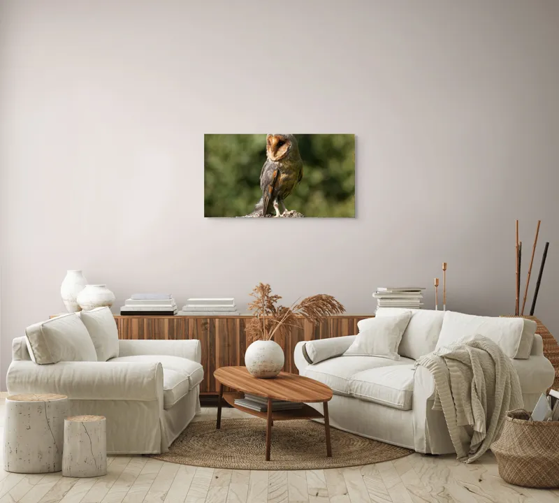 Tablou Canvas, "Bufniță pe trunchi de copac uscat", Bufniță, Trunchi, Pene, Noapte, Natură, Ochi, Urechiușe, Silueta, Observare, Calmă, 90 x 50 cm – poza 4