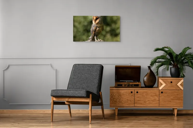 Tablou Canvas, "Bufniță pe trunchi de copac uscat", Bufniță, Trunchi, Pene, Noapte, Natură, Ochi, Urechiușe, Silueta, Observare, Calmă, 90 x 50 cm – poza 6