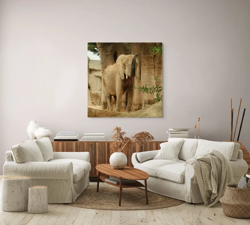 Tablou Canvas, "Elefantul în habitatul său natural", Elefant, Colți, Trompă, Trunchi, Copac, Stâncă, Vegetație, Natură, Animal, Africa, 100 x 100 cm – poza 3