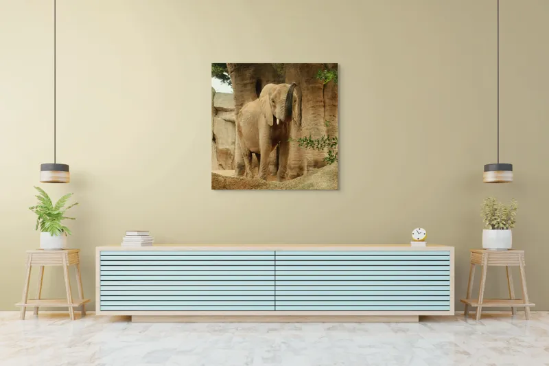Tablou Canvas, "Elefantul în habitatul său natural", Elefant, Colți, Trompă, Trunchi, Copac, Stâncă, Vegetație, Natură, Animal, Africa, 100 x 100 cm – poza 5
