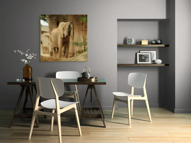 Tablou Canvas, "Elefantul în habitatul său natural", Elefant, Colți, Trompă, Trunchi, Copac, Stâncă, Vegetație, Natură, Animal, Africa, 100 x 100 cm – poza 6