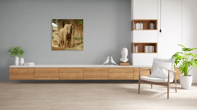 Tablou Canvas, "Elefantul în habitatul său natural", Elefant, Colți, Trompă, Trunchi, Copac, Stâncă, Vegetație, Natură, Animal, Africa, 100 x 100 cm – poza 8