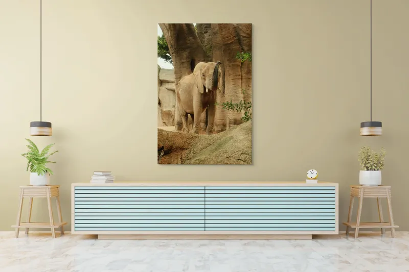 Tablou Canvas, "Elefantul în habitatul său natural", Elefant, Colți, Trompă, Trunchi, Copac, Stâncă, Vegetație, Natură, Animal, Africa, 100 x 150 cm – poza 4