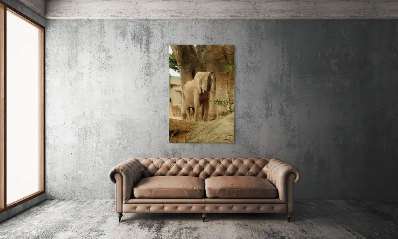 Tablou Canvas, "Elefantul în habitatul său natural", Elefant, Colți, Trompă, Trunchi, Copac, Stâncă, Vegetație, Natură, Animal, Africa, 100 x 150 cm – poza 6