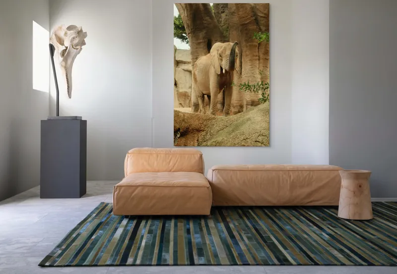 Tablou Canvas, "Elefantul în habitatul său natural", Elefant, Colți, Trompă, Trunchi, Copac, Stâncă, Vegetație, Natură, Animal, Africa, 100 x 150 cm – poza 7