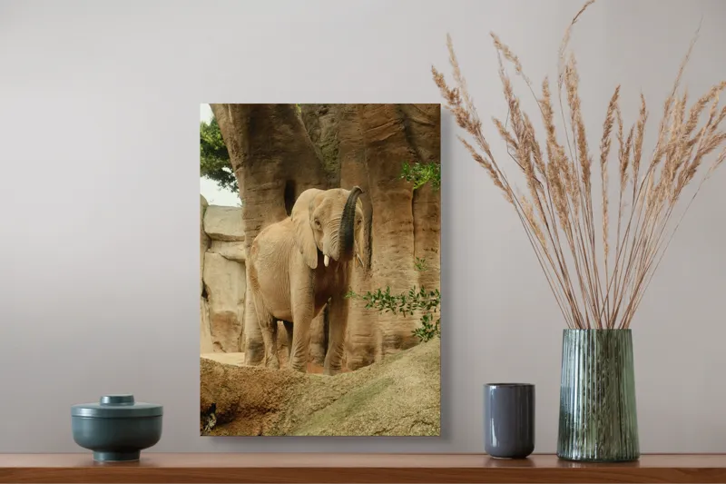 Tablou Canvas, "Elefantul în habitatul său natural", Elefant, Colți, Trompă, Trunchi, Copac, Stâncă, Vegetație, Natură, Animal, Africa, 39 x 54 cm – poza 3