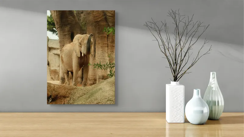 Tablou Canvas, "Elefantul în habitatul său natural", Elefant, Colți, Trompă, Trunchi, Copac, Stâncă, Vegetație, Natură, Animal, Africa, 39 x 54 cm – poza 4