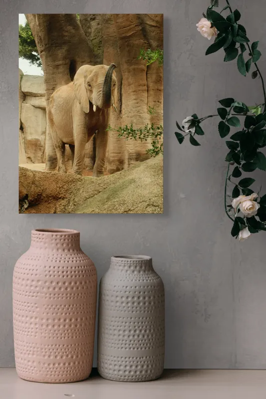 Tablou Canvas, "Elefantul în habitatul său natural", Elefant, Colți, Trompă, Trunchi, Copac, Stâncă, Vegetație, Natură, Animal, Africa, 39 x 54 cm – poza 6