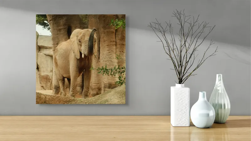 Tablou Canvas, "Elefantul în habitatul său natural", Elefant, Colți, Trompă, Trunchi, Copac, Stâncă, Vegetație, Natură, Animal, Africa, 50 x 50 cm – poza 3