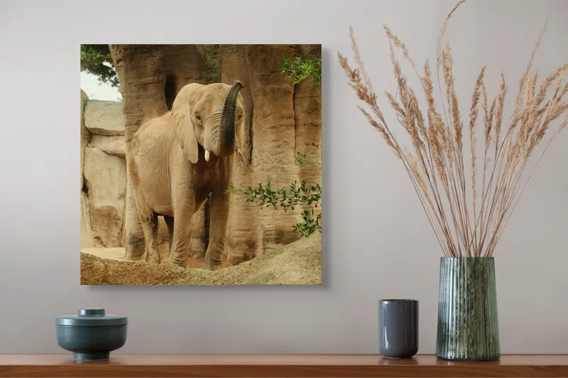 Tablou Canvas, "Elefantul în habitatul său natural", Elefant, Colți, Trompă, Trunchi, Copac, Stâncă, Vegetație, Natură, Animal, Africa, 50 x 50 cm – poza 4