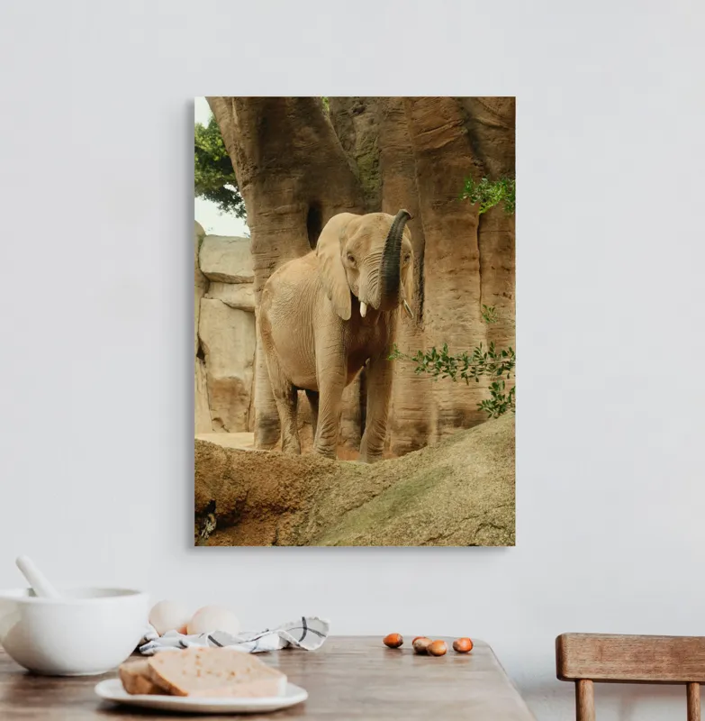 Tablou Canvas, "Elefantul în habitatul său natural", Elefant, Colți, Trompă, Trunchi, Copac, Stâncă, Vegetație, Natură, Animal, Africa, 50 x 70 cm – poza 3