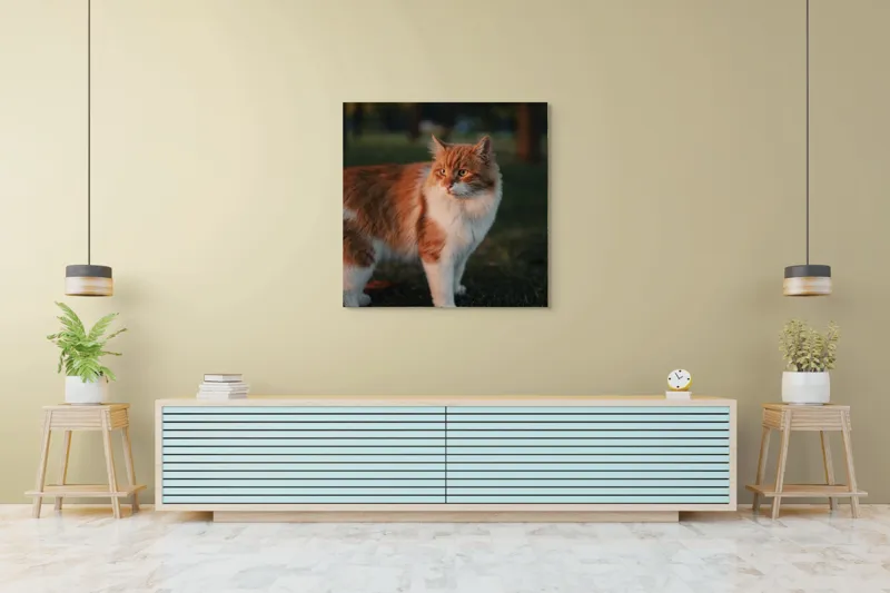 Tablou Canvas, "Pisica la apus în grădină", Pisică, Blană, Portocaliu, Alb, Iarbă, Seară, Privire, Natură, Mustăți, 100 x 100 cm – poza 5