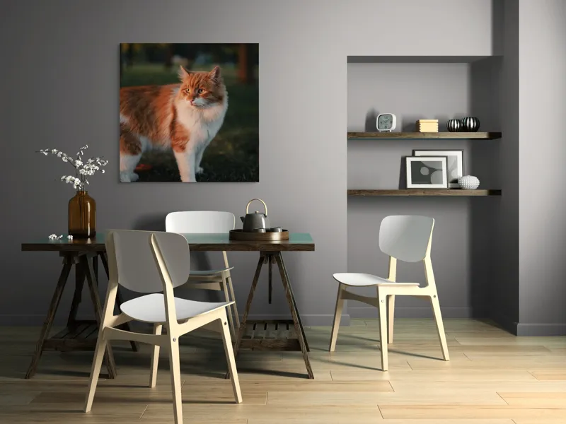 Tablou Canvas, "Pisica la apus în grădină", Pisică, Blană, Portocaliu, Alb, Iarbă, Seară, Privire, Natură, Mustăți, 100 x 100 cm – poza 6