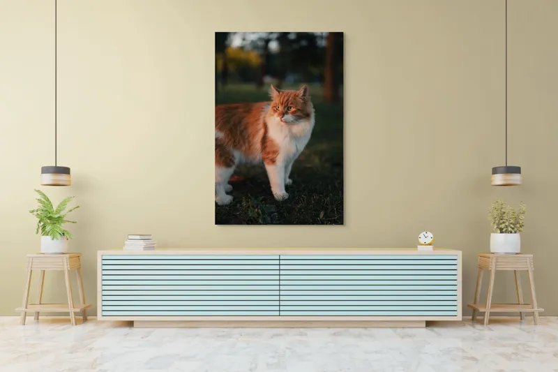 Tablou Canvas, "Pisica la apus în grădină", Pisică, Blană, Portocaliu, Alb, Iarbă, Seară, Privire, Natură, Mustăți, 100 x 150 cm – poza 4