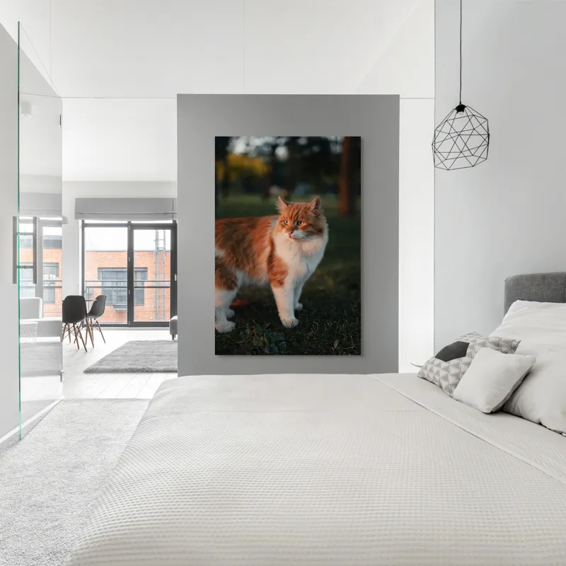 Tablou Canvas, "Pisica la apus în grădină", Pisică, Blană, Portocaliu, Alb, Iarbă, Seară, Privire, Natură, Mustăți, 100 x 150 cm – poza 5