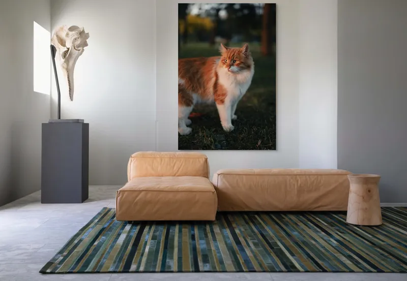 Tablou Canvas, "Pisica la apus în grădină", Pisică, Blană, Portocaliu, Alb, Iarbă, Seară, Privire, Natură, Mustăți, 100 x 150 cm – poza 7