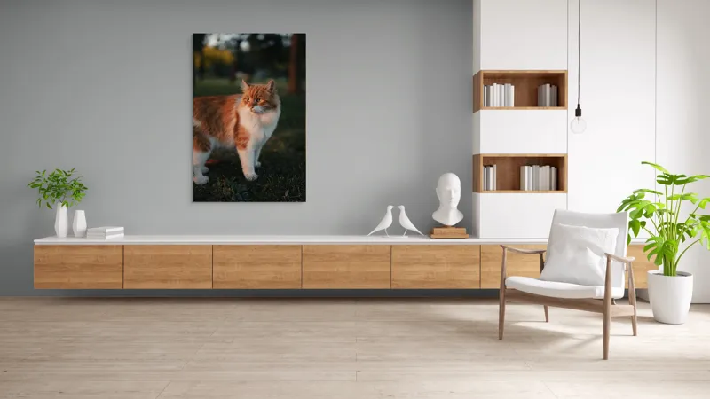Tablou Canvas, "Pisica la apus în grădină", Pisică, Blană, Portocaliu, Alb, Iarbă, Seară, Privire, Natură, Mustăți, 100 x 150 cm – poza 8