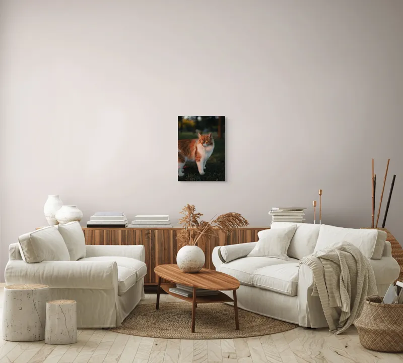 Tablou Canvas, "Pisica la apus în grădină", Pisică, Blană, Portocaliu, Alb, Iarbă, Seară, Privire, Natură, Mustăți, 39 x 54 cm – poza 5