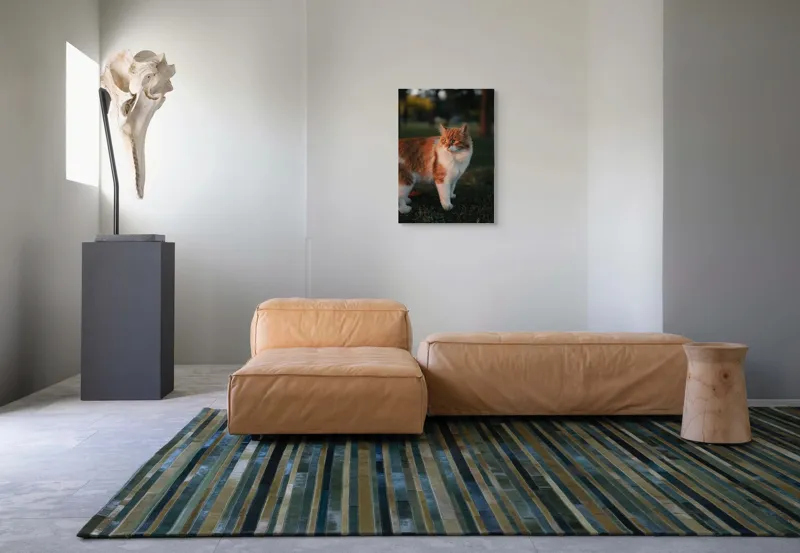 Tablou Canvas, "Pisica la apus în grădină", Pisică, Blană, Portocaliu, Alb, Iarbă, Seară, Privire, Natură, Mustăți, 50 x 70 cm – poza 7