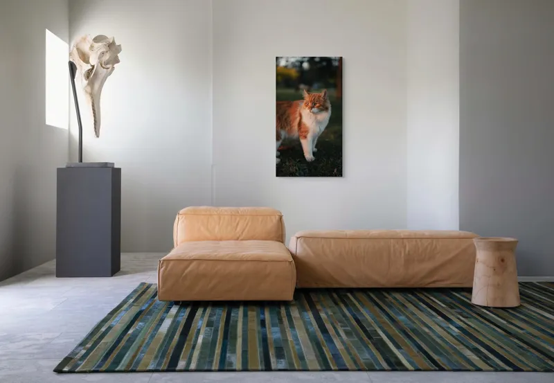 Tablou Canvas, "Pisica la apus în grădină", Pisică, Blană, Portocaliu, Alb, Iarbă, Seară, Privire, Natură, Mustăți, 50 x 90 cm – poza 5