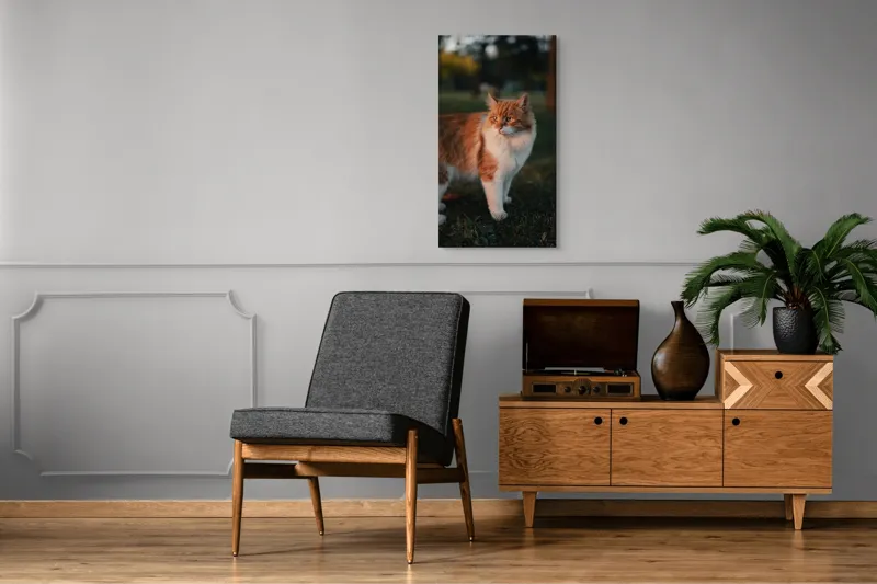 Tablou Canvas, "Pisica la apus în grădină", Pisică, Blană, Portocaliu, Alb, Iarbă, Seară, Privire, Natură, Mustăți, 50 x 90 cm – poza 8