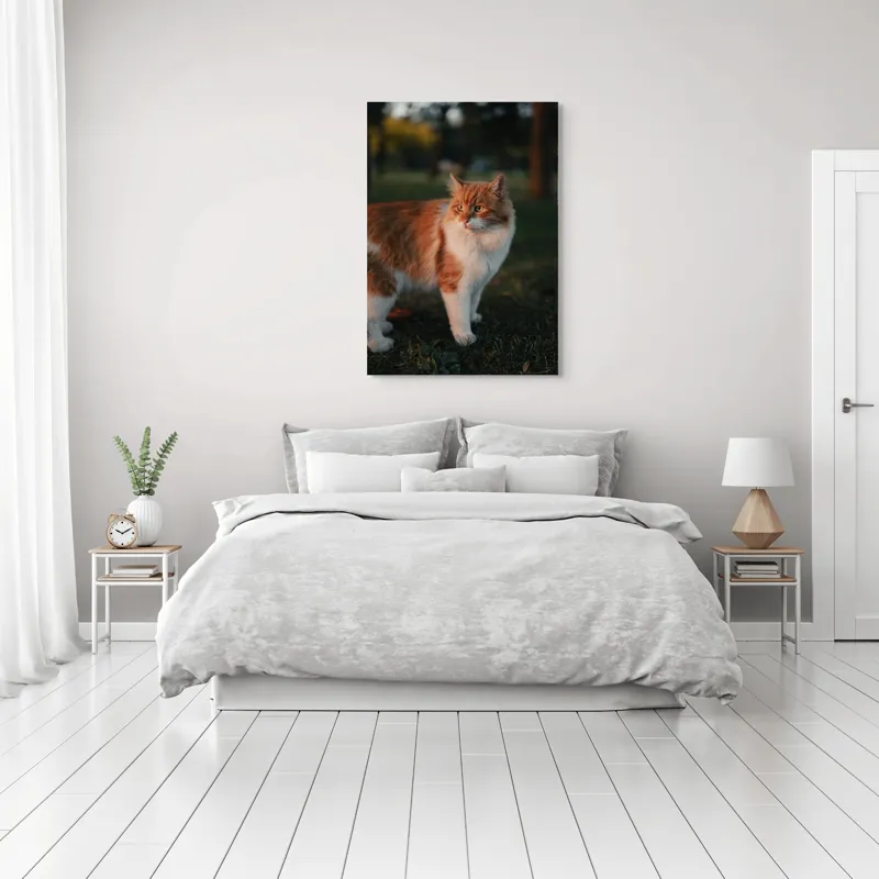 Tablou Canvas, "Pisica la apus în grădină", Pisică, Blană, Portocaliu, Alb, Iarbă, Seară, Privire, Natură, Mustăți, 70 x 100 cm – poza 3