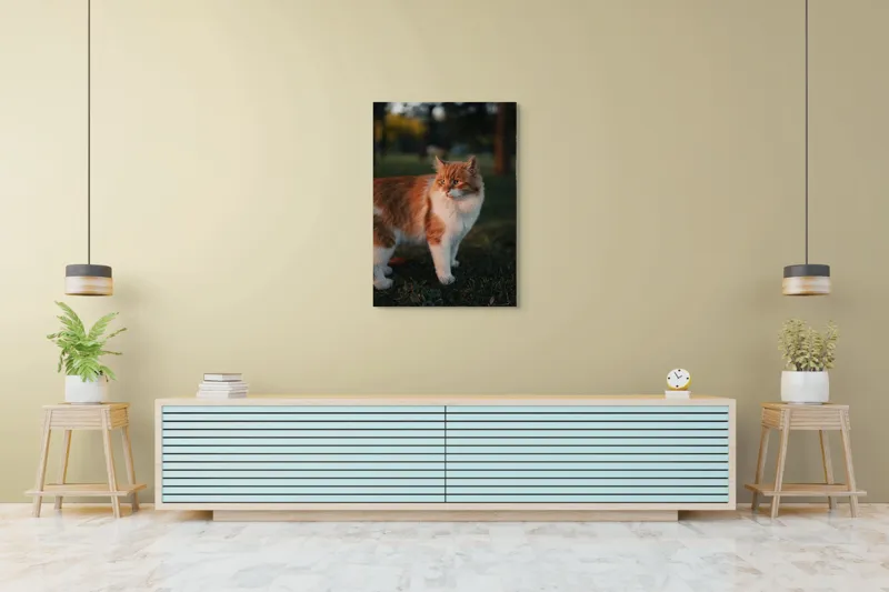 Tablou Canvas, "Pisica la apus în grădină", Pisică, Blană, Portocaliu, Alb, Iarbă, Seară, Privire, Natură, Mustăți, 70 x 100 cm – poza 5