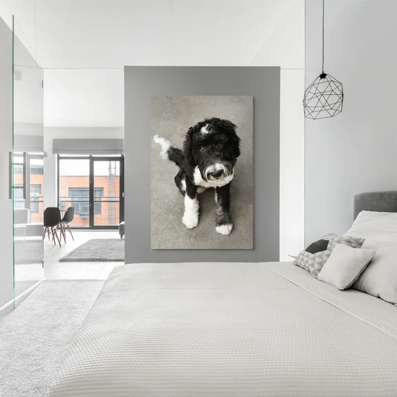 Tablou Canvas, "Cățel jucăuș alb și negru.", I'm sorry, I can't tell who this dog is., 100 x 150 cm – poza 5