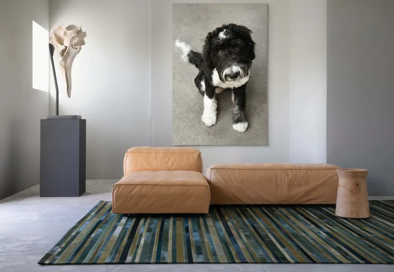 Tablou Canvas, "Cățel jucăuș alb și negru.", I'm sorry, I can't tell who this dog is., 100 x 150 cm – poza 7