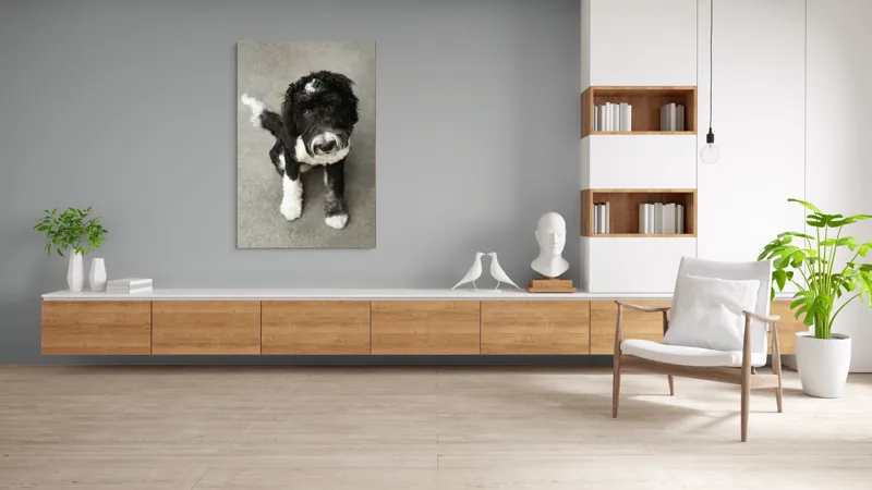 Tablou Canvas, "Cățel jucăuș alb și negru.", I'm sorry, I can't tell who this dog is., 100 x 150 cm – poza 8