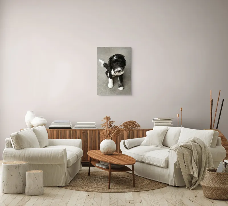 Tablou Canvas, "Cățel jucăuș alb și negru.", 50 x 70 cm – poza 4