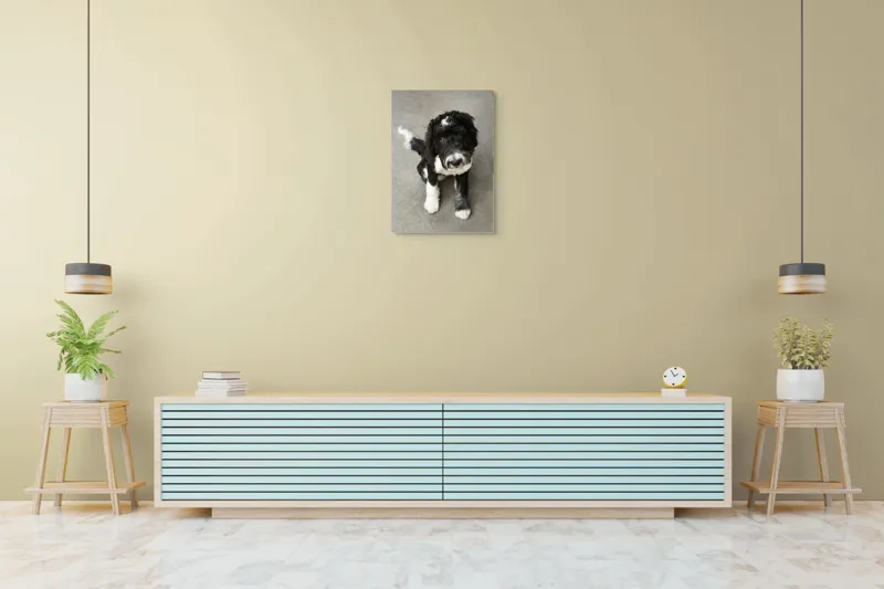 Tablou Canvas, "Cățel jucăuș alb și negru.", 50 x 70 cm – poza 6
