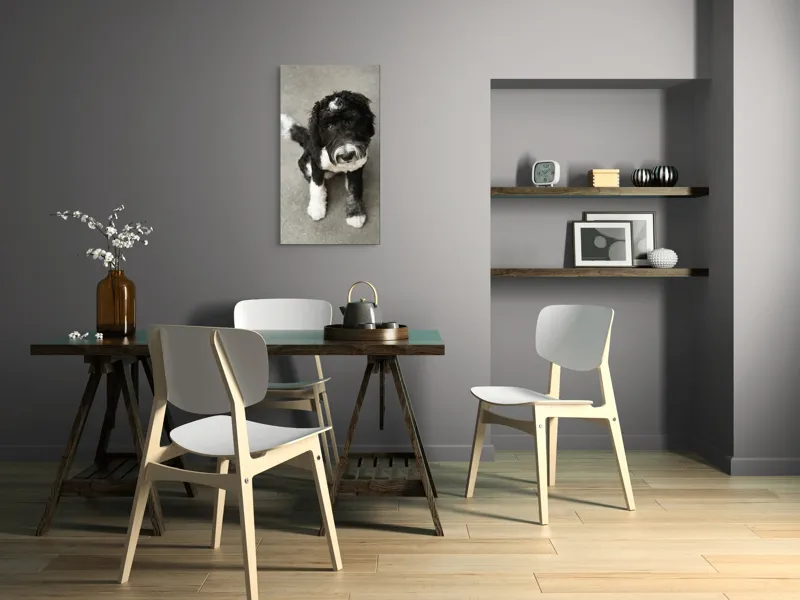 Tablou Canvas, "Cățel jucăuș alb și negru.", I'm sorry, I can't tell who this dog is., 50 x 90 cm – poza 4