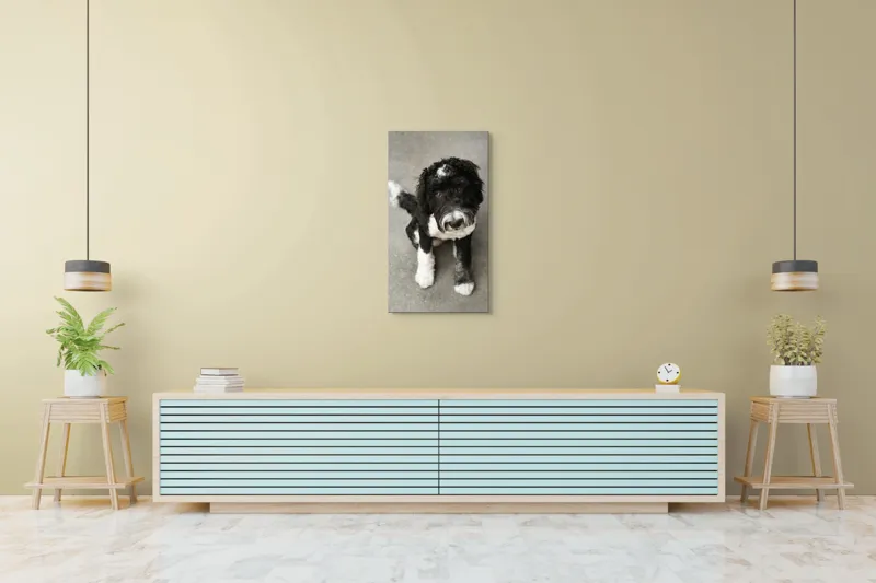 Tablou Canvas, "Cățel jucăuș alb și negru.", I'm sorry, I can't tell who this dog is., 50 x 90 cm – poza 6