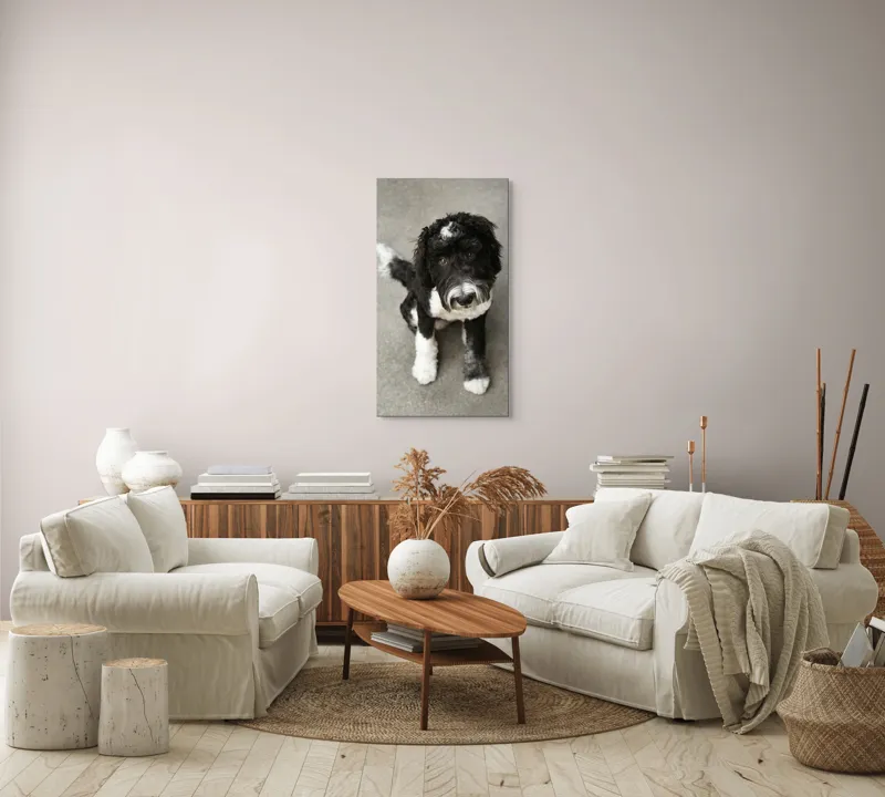 Tablou Canvas, "Cățel jucăuș alb și negru.", I'm sorry, I can't tell who this dog is., 50 x 90 cm – poza 7