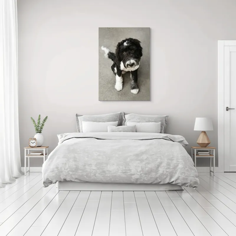 Tablou Canvas, "Cățel jucăuș alb și negru.", 70 x 100 cm – poza 3