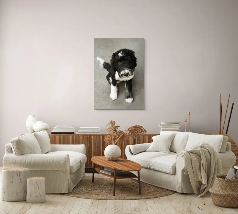 Tablou Canvas, "Cățel jucăuș alb și negru.", 70 x 100 cm – poza 4