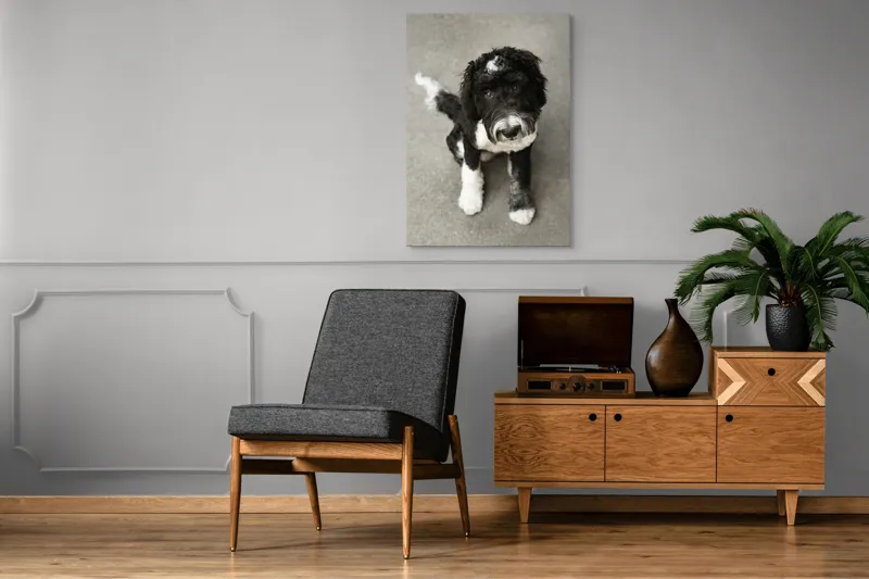 Tablou Canvas, "Cățel jucăuș alb și negru.", 70 x 100 cm – poza 6