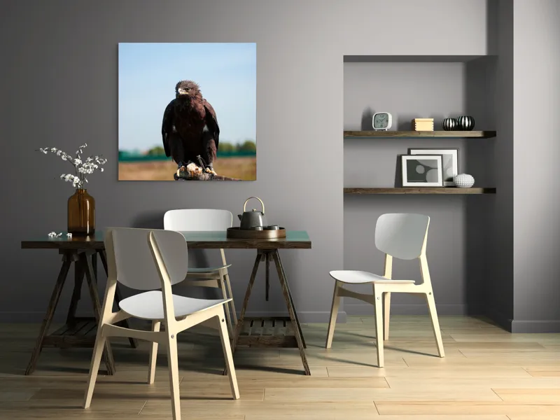 Tablou Canvas, "Privirea liberă a vulturului", Pasăre, Mănușă, Cer, Natură, Vedere, Penaj, Pradă, Privire., 100 x 100 cm – poza 6