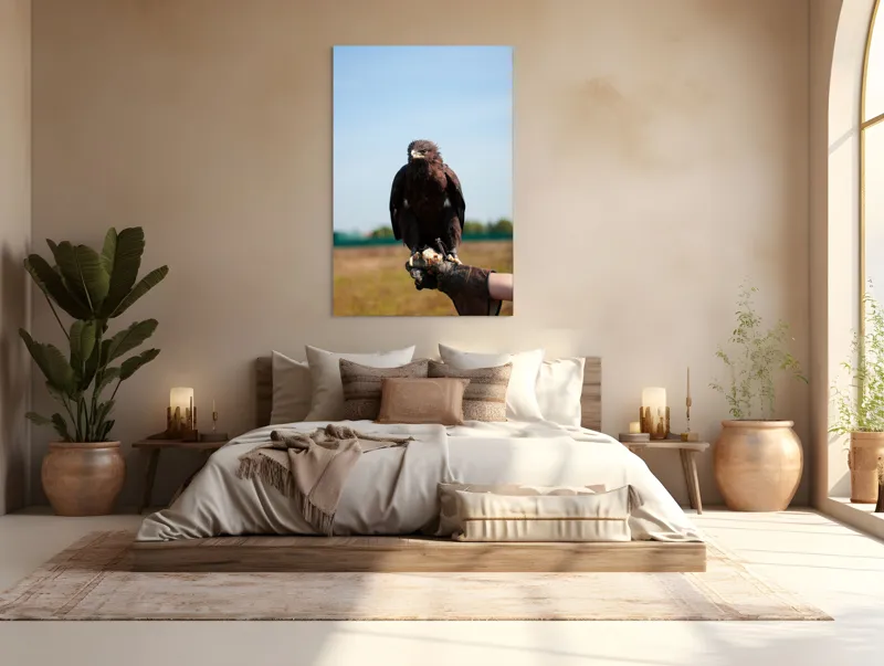 Tablou Canvas, "Privirea liberă a vulturului", Pasăre, Mănușă, Cer, Natură, Vedere, Penaj, Pradă, Privire., 100 x 150 cm – poza 3